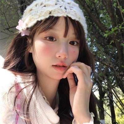 大象与小蝶物语